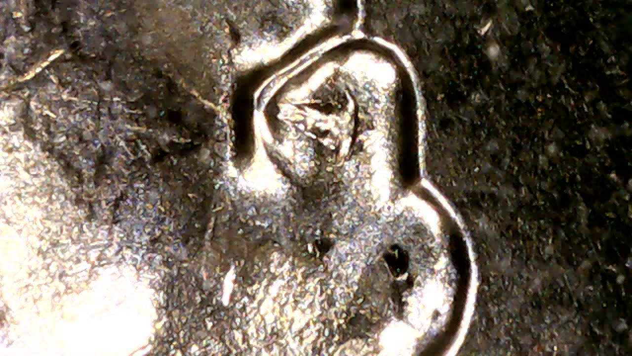 2022-Mint-Unc-Set-Packaging-Error?--Your-Thoughts.